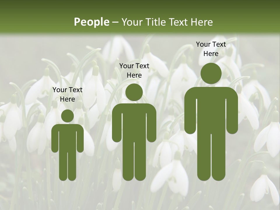 Wild February Love PowerPoint Template