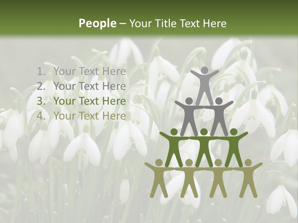 Wild February Love PowerPoint Template