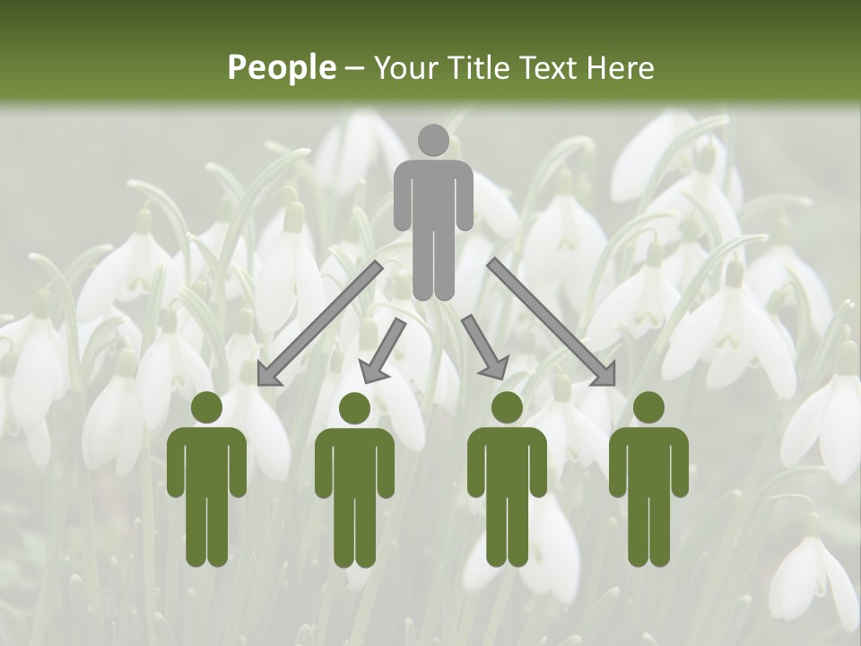 Wild February Love PowerPoint Template