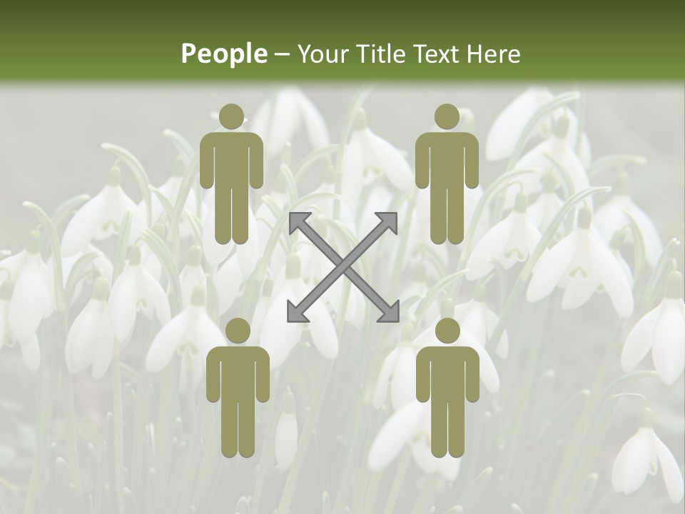 Wild February Love PowerPoint Template