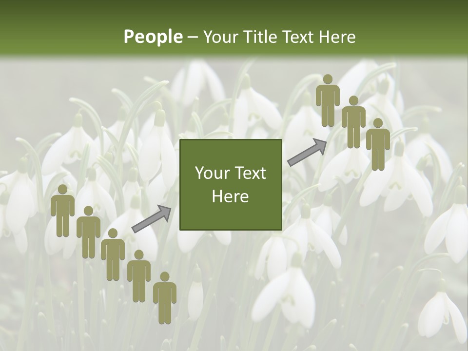 Wild February Love PowerPoint Template