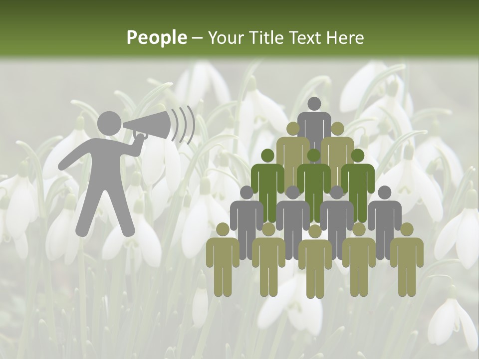 Wild February Love PowerPoint Template