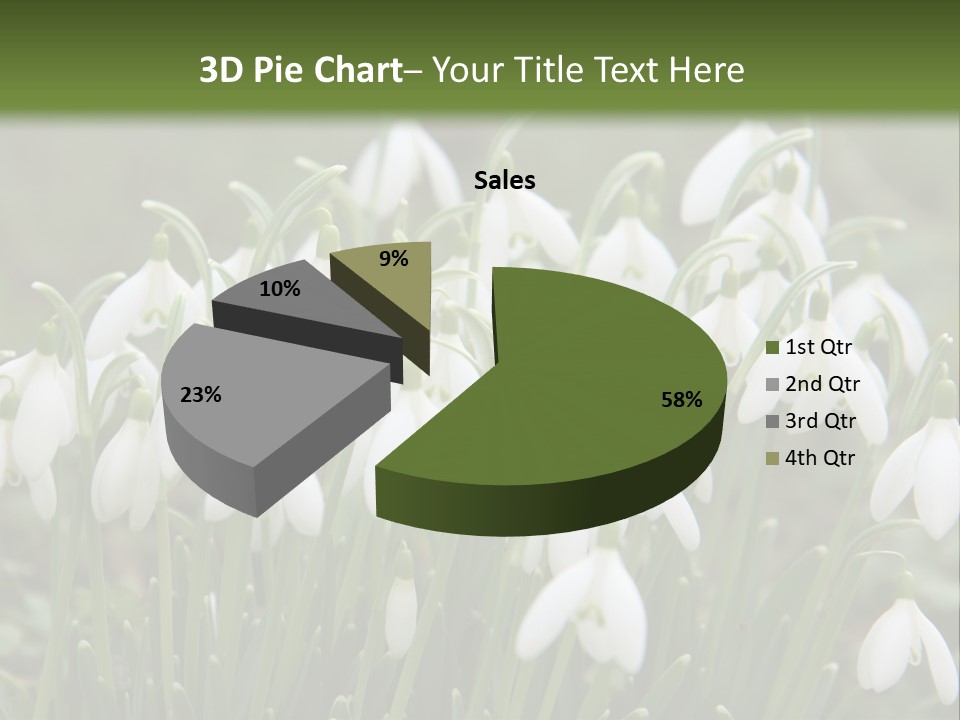 Wild February Love PowerPoint Template