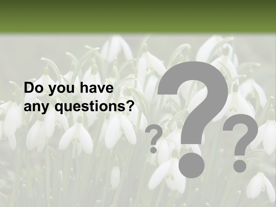 Wild February Love PowerPoint Template