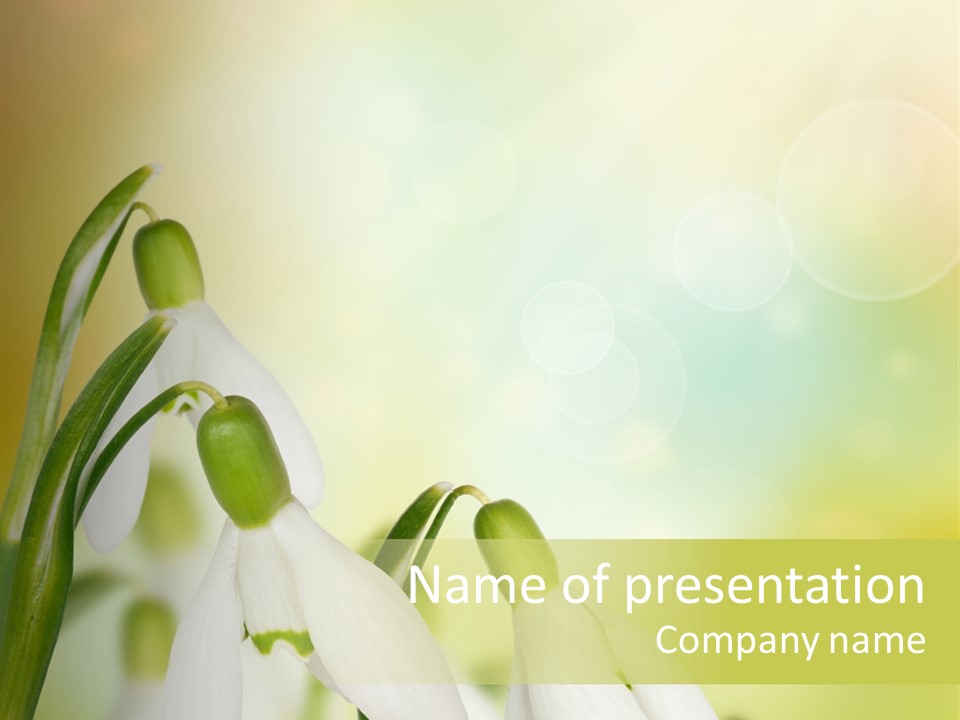 Drop Flower Botany PowerPoint Template