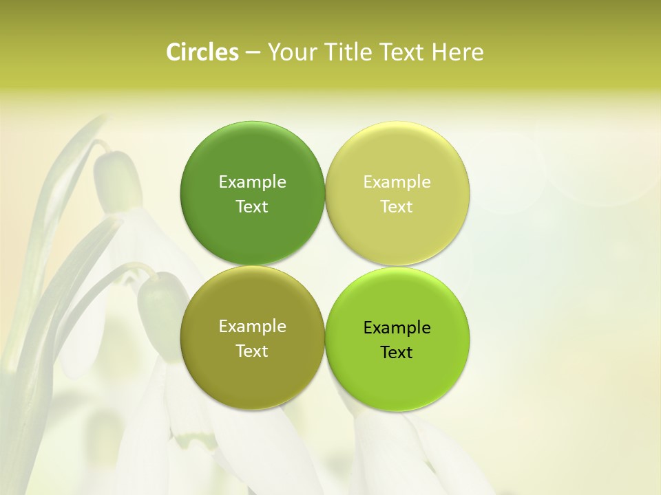 Drop Flower Botany PowerPoint Template