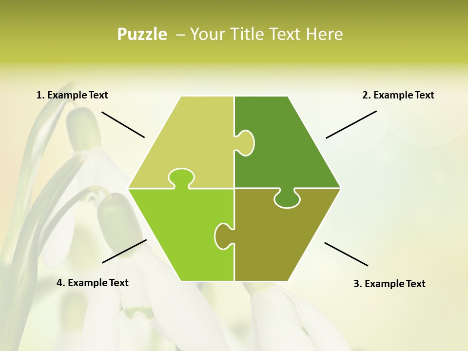 Drop Flower Botany PowerPoint Template