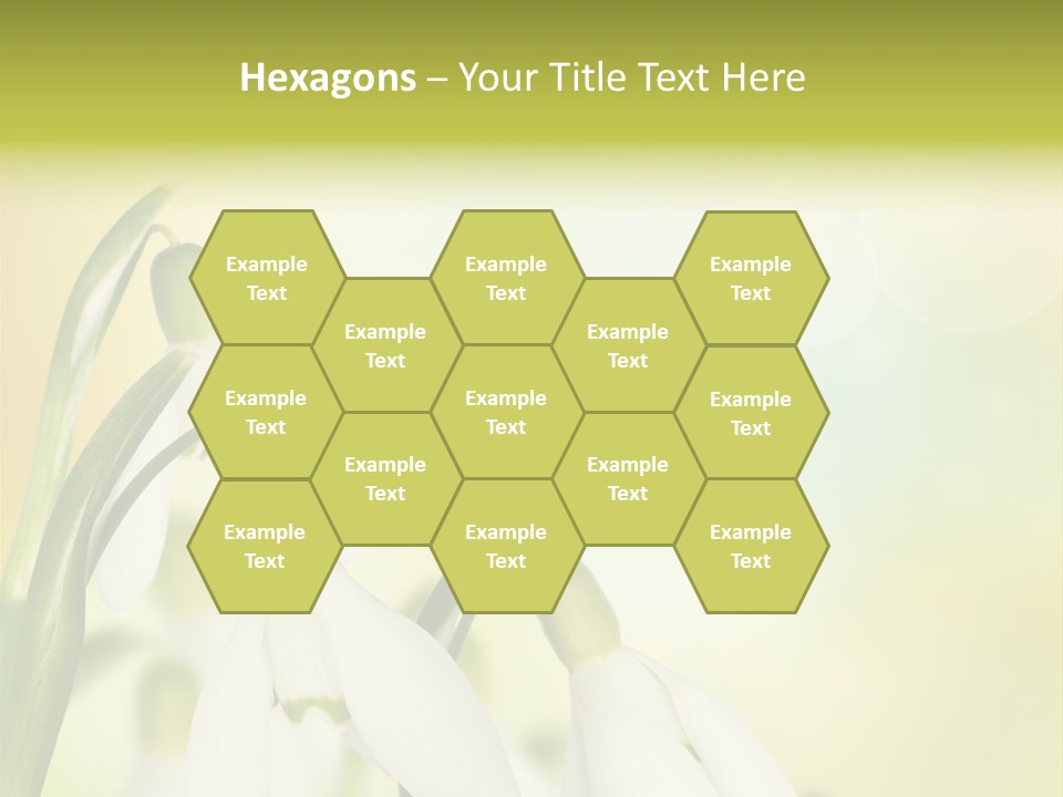 Drop Flower Botany PowerPoint Template