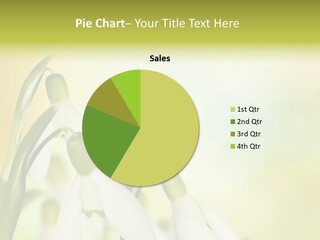 Drop Flower Botany PowerPoint Template