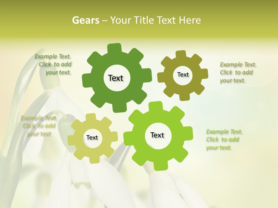 Drop Flower Botany PowerPoint Template