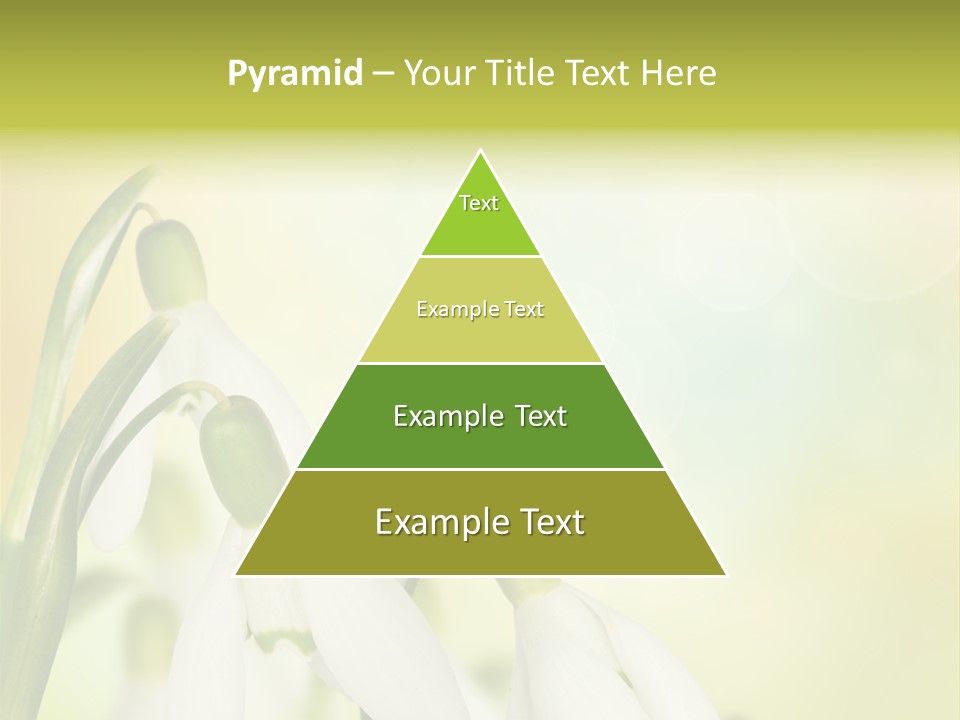 Drop Flower Botany PowerPoint Template