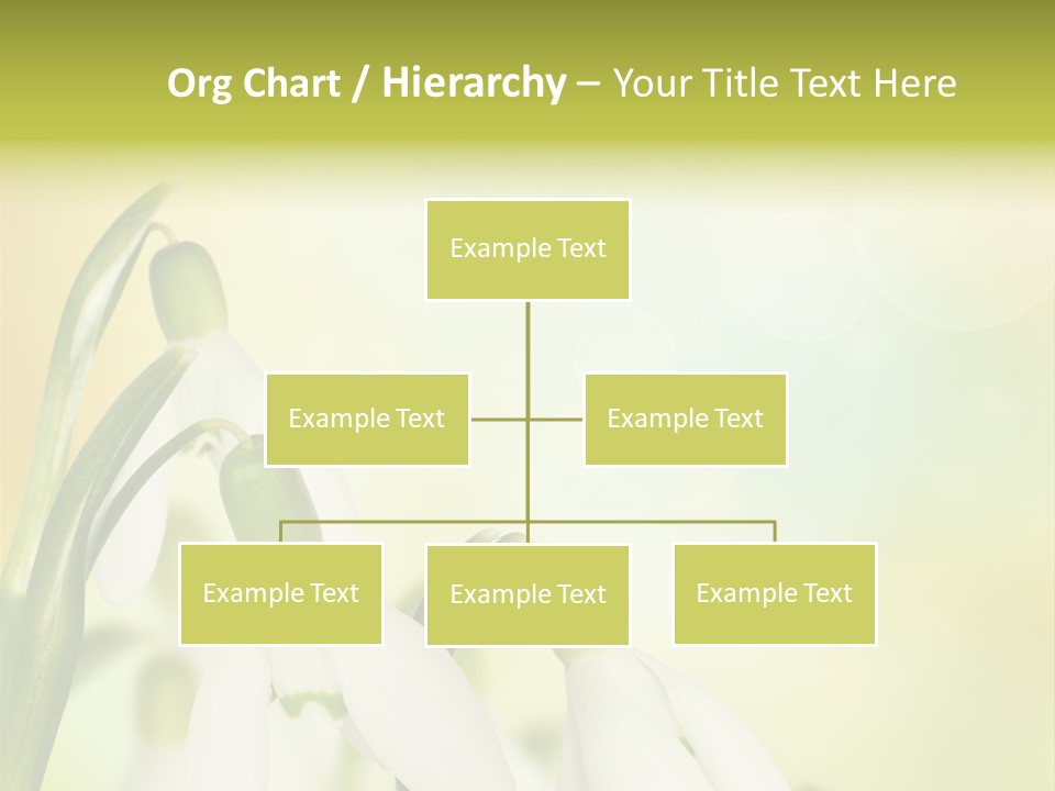 Drop Flower Botany PowerPoint Template