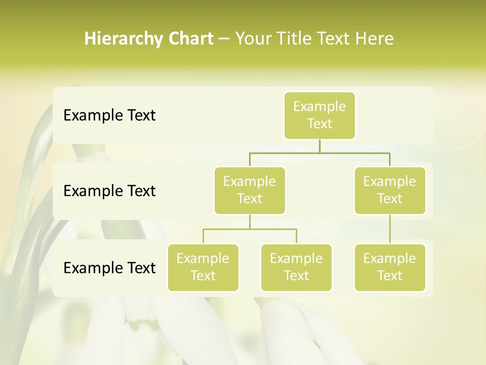 Drop Flower Botany PowerPoint Template