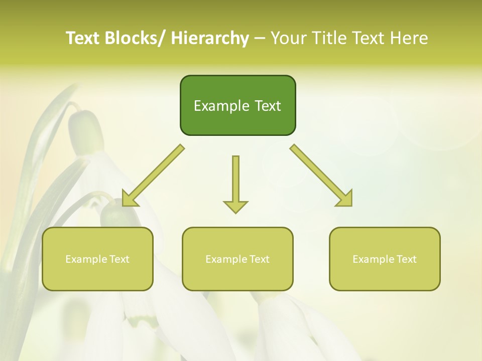 Drop Flower Botany PowerPoint Template