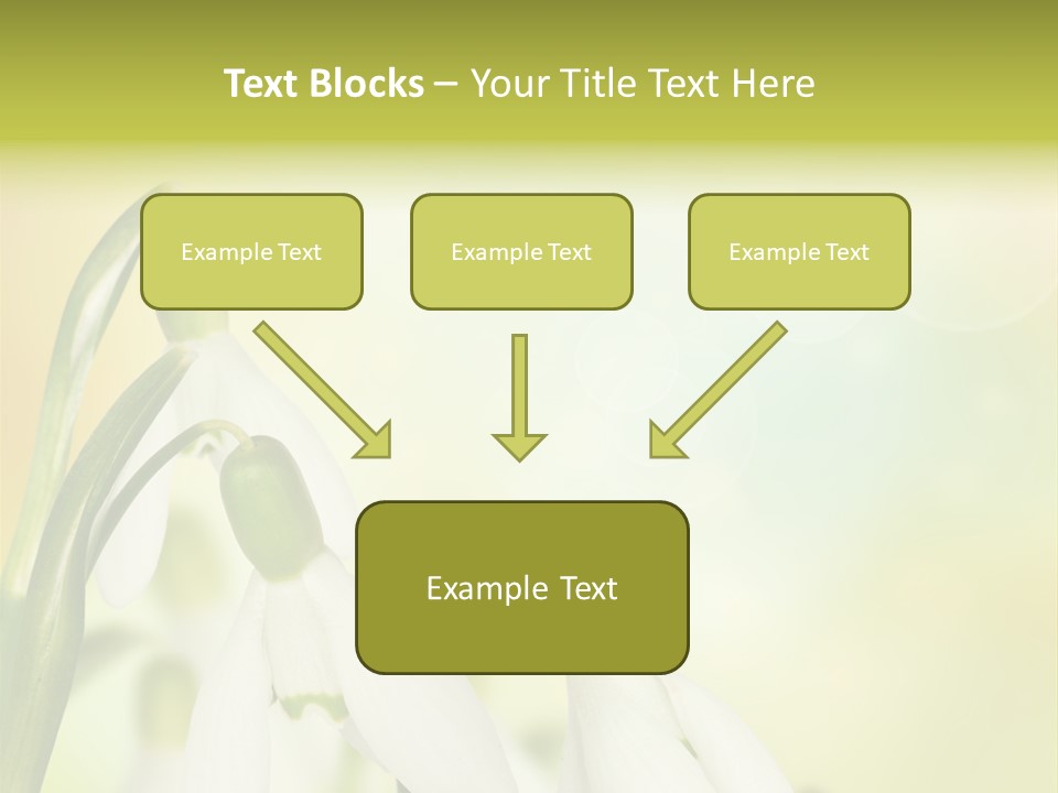 Drop Flower Botany PowerPoint Template