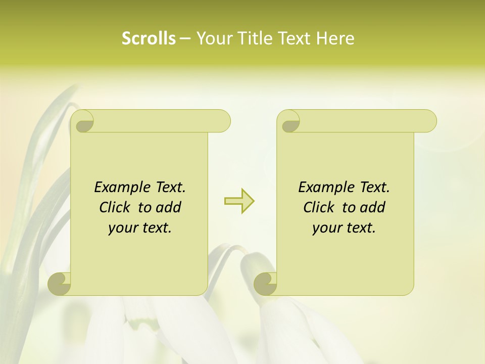 Drop Flower Botany PowerPoint Template