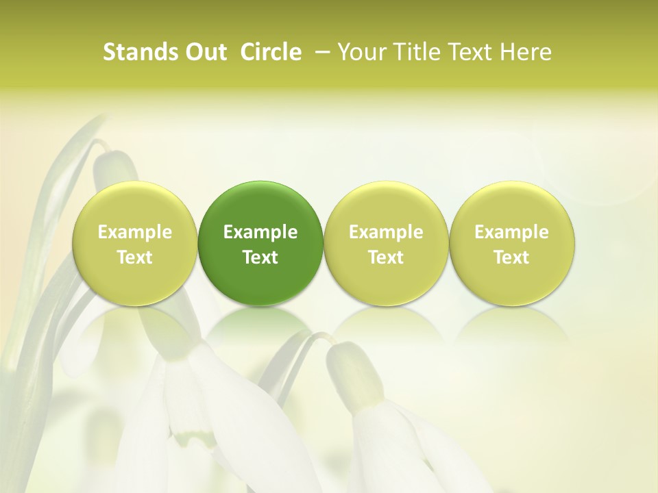 Drop Flower Botany PowerPoint Template