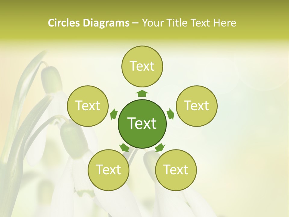 Drop Flower Botany PowerPoint Template