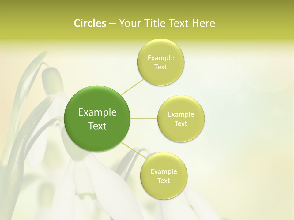 Drop Flower Botany PowerPoint Template