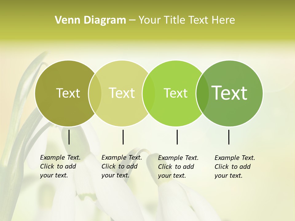 Drop Flower Botany PowerPoint Template