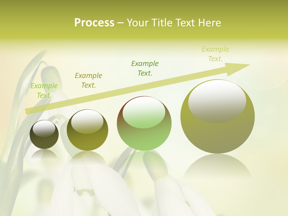 Drop Flower Botany PowerPoint Template