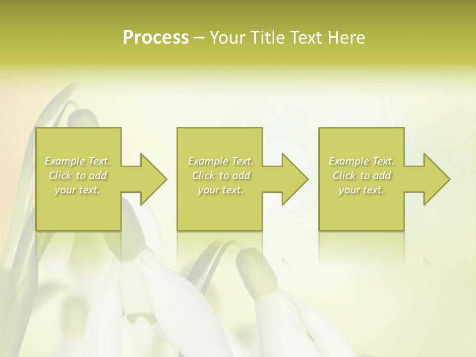 Drop Flower Botany PowerPoint Template