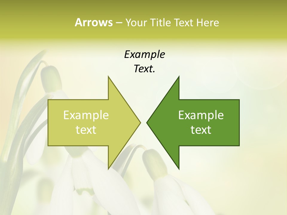 Drop Flower Botany PowerPoint Template