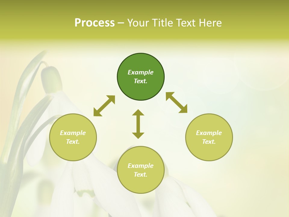 Drop Flower Botany PowerPoint Template