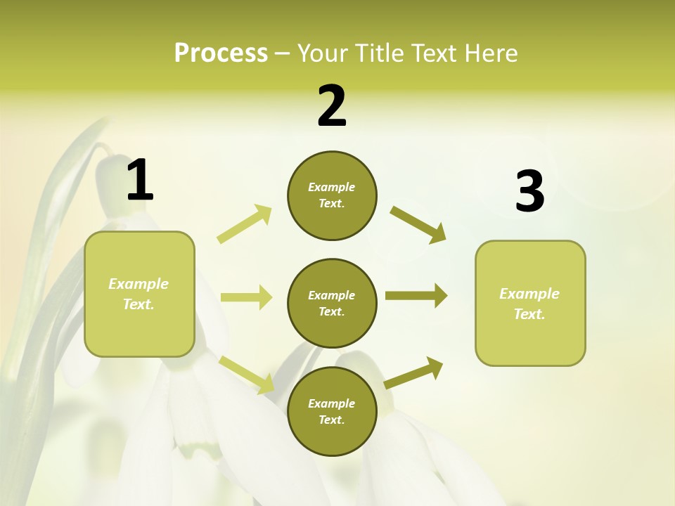 Drop Flower Botany PowerPoint Template