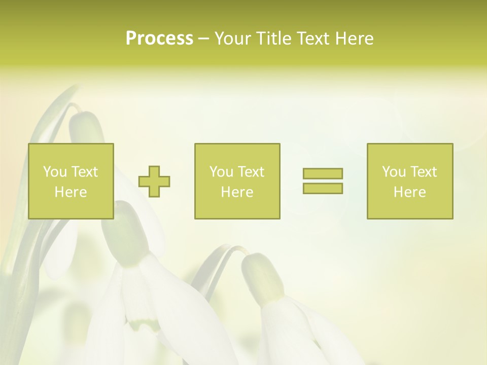 Drop Flower Botany PowerPoint Template