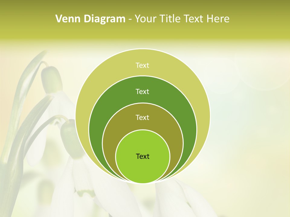 Drop Flower Botany PowerPoint Template