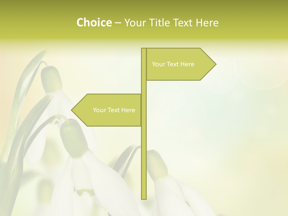 Drop Flower Botany PowerPoint Template