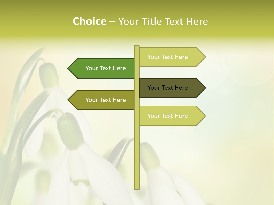 Drop Flower Botany PowerPoint Template