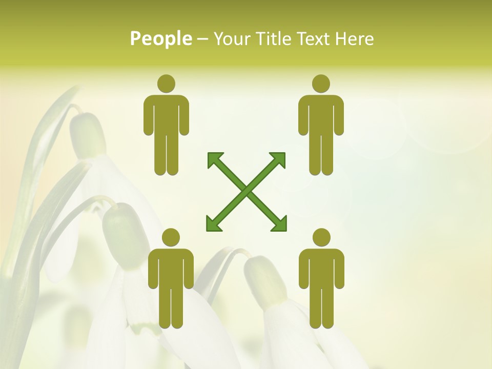 Drop Flower Botany PowerPoint Template