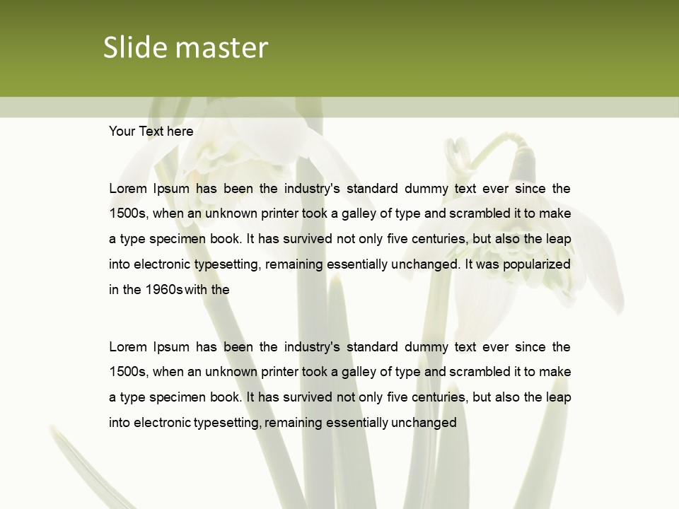 White Day First PowerPoint Template