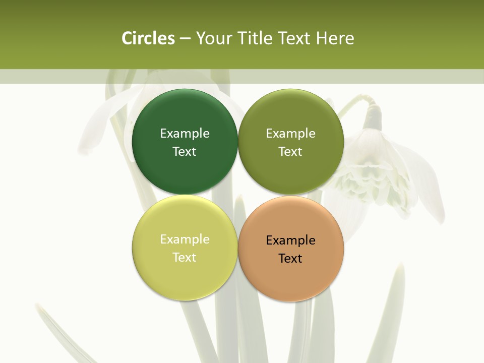 White Day First PowerPoint Template