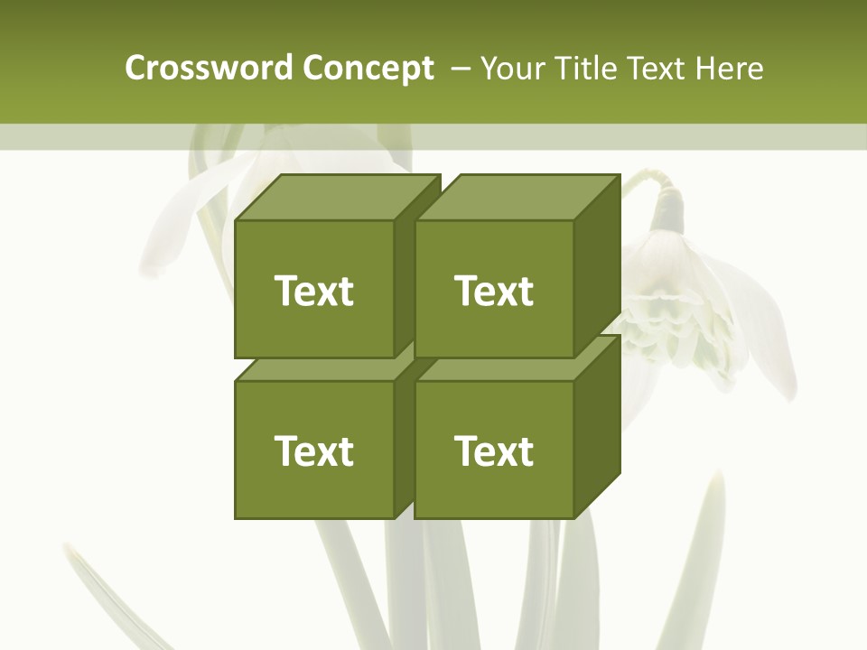 White Day First PowerPoint Template