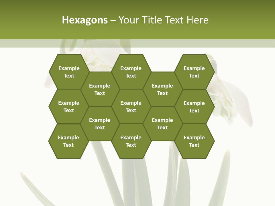 White Day First PowerPoint Template