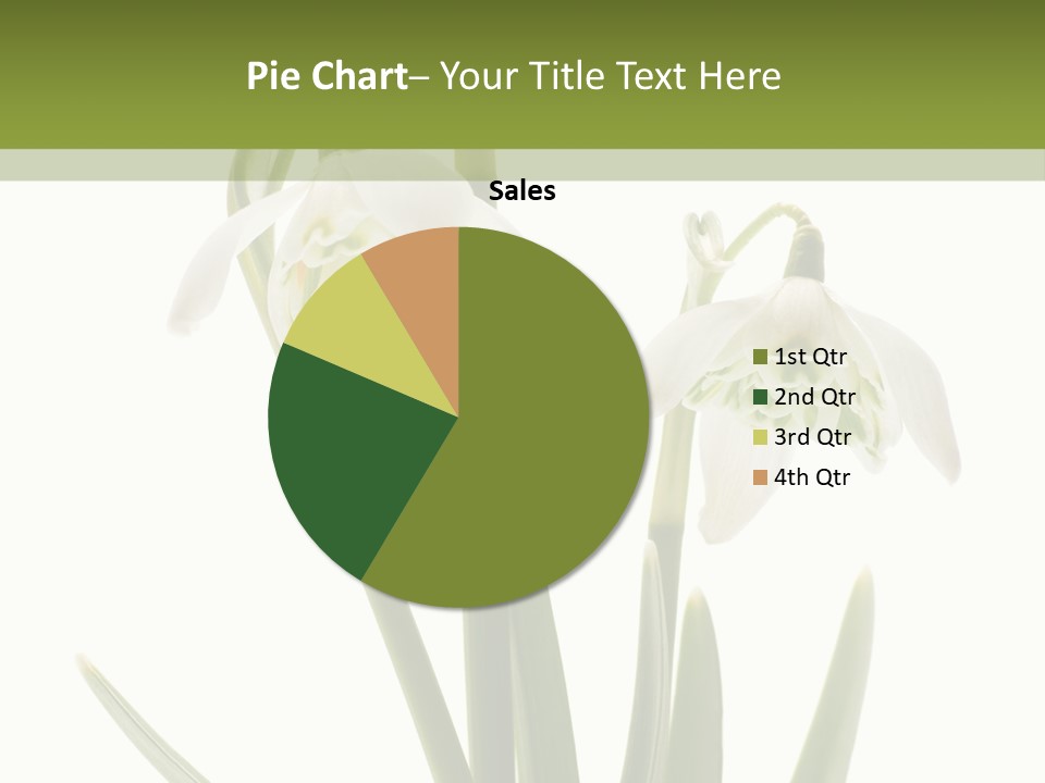 White Day First PowerPoint Template
