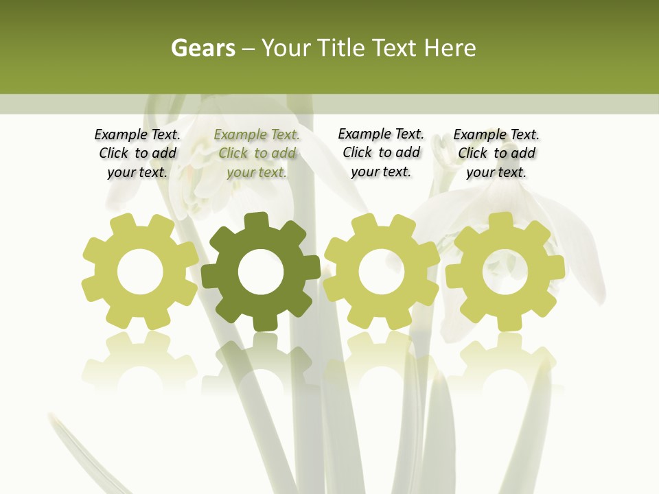 White Day First PowerPoint Template