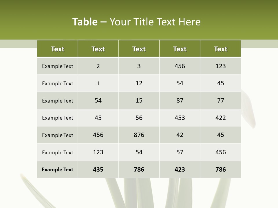 White Day First PowerPoint Template