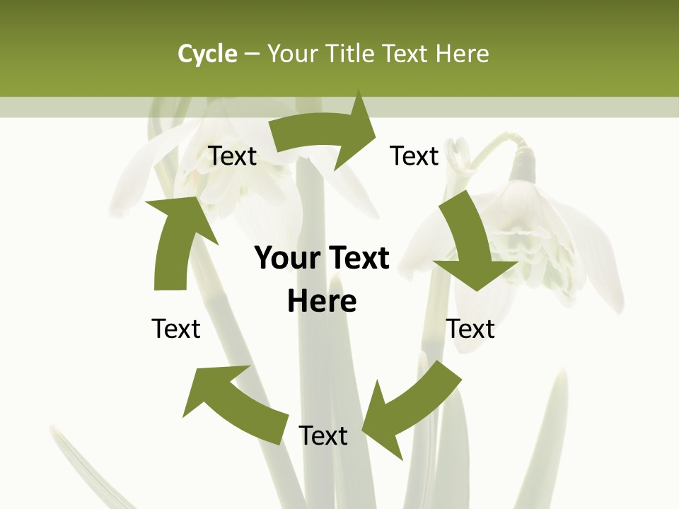 White Day First PowerPoint Template