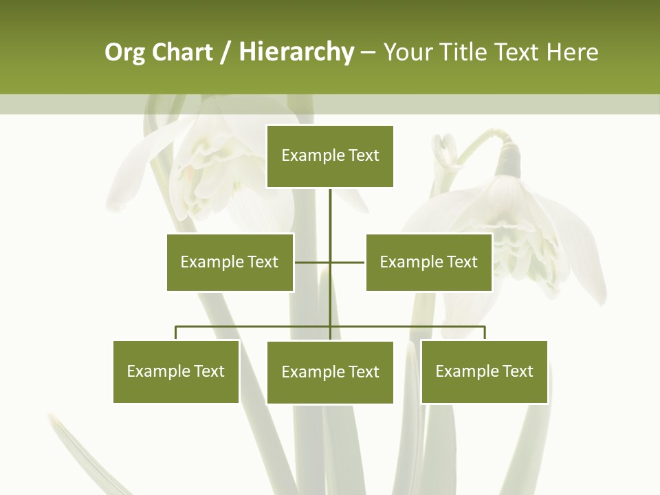 White Day First PowerPoint Template