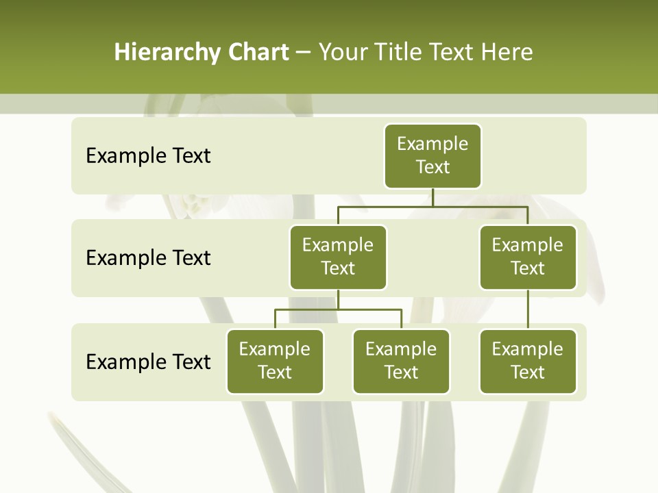 White Day First PowerPoint Template