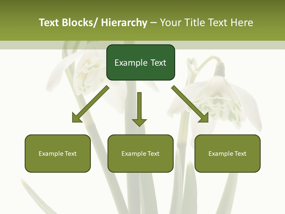 White Day First PowerPoint Template