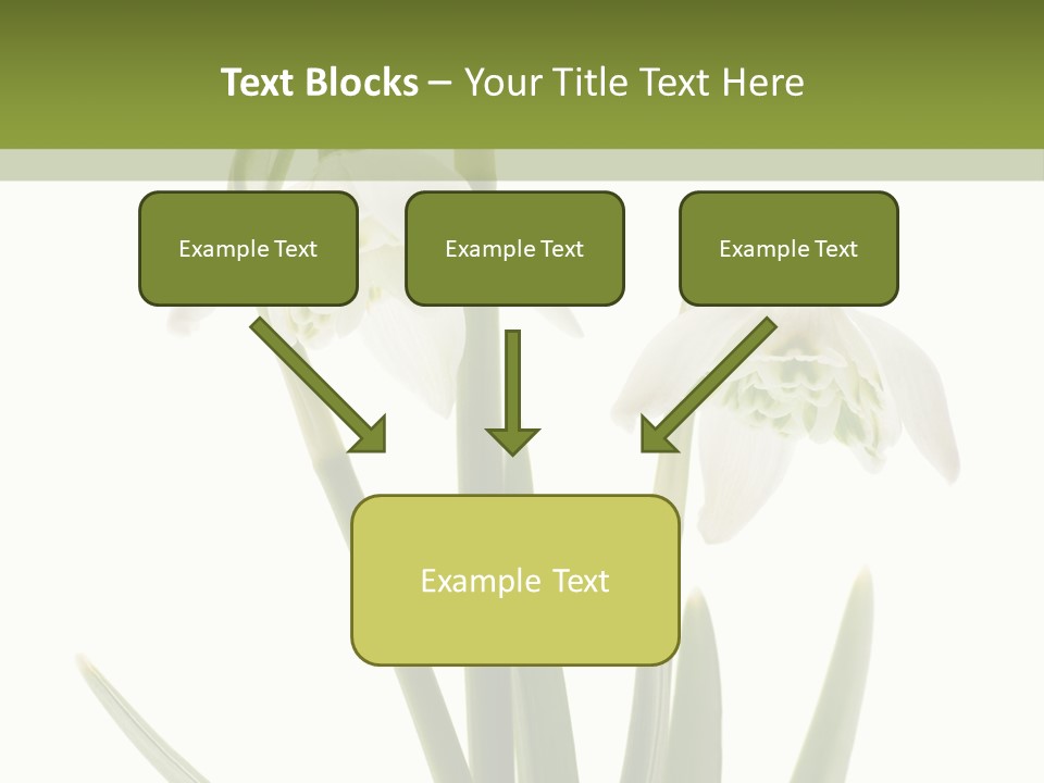 White Day First PowerPoint Template
