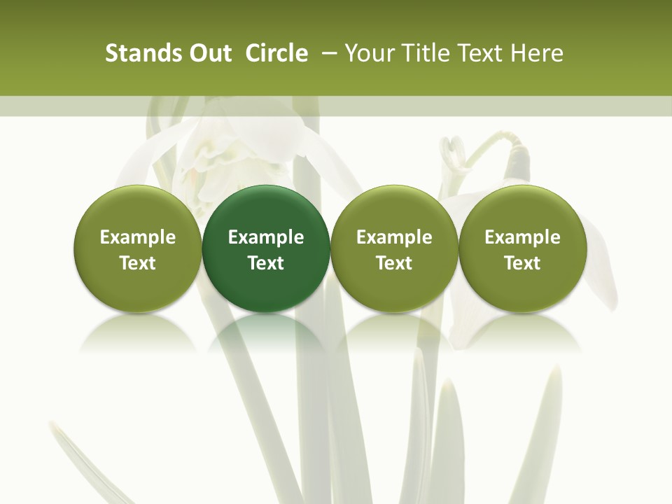 White Day First PowerPoint Template