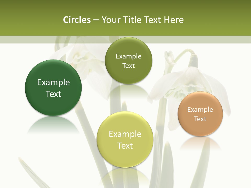 White Day First PowerPoint Template