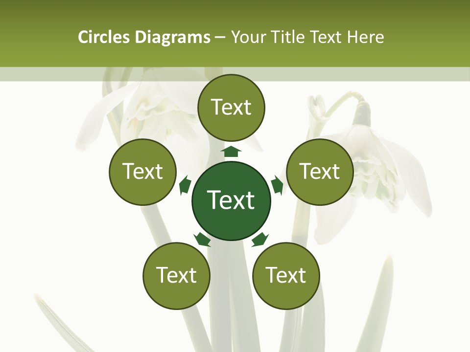 White Day First PowerPoint Template