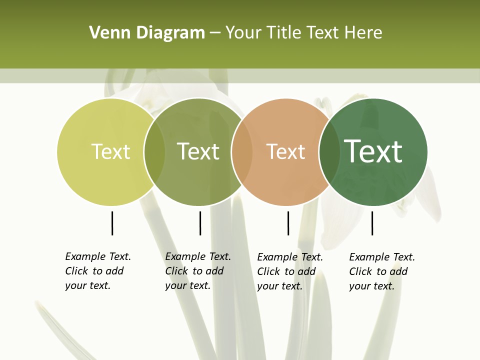 White Day First PowerPoint Template